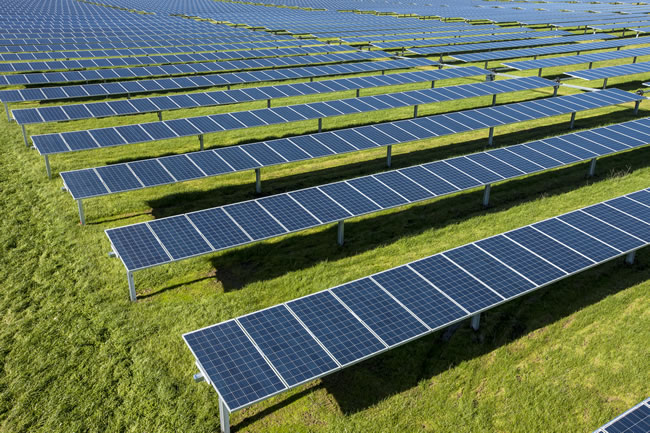 Google Solar Farm - Rex Moore